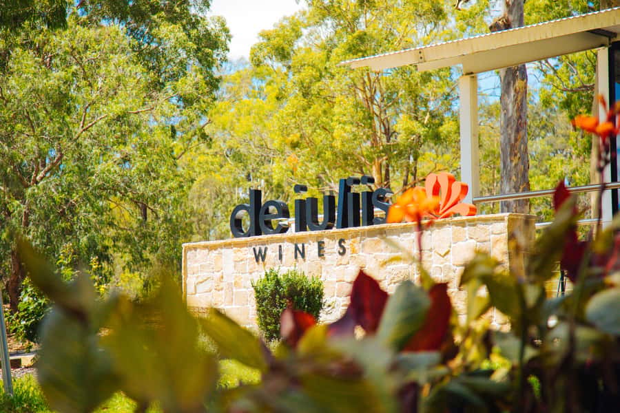 Hunter Valley: Wine, Spirits, and Cheese Tour with Lunch - Cheese, Chocolate, and Wine Pairing That Actually Teaches Your Palate