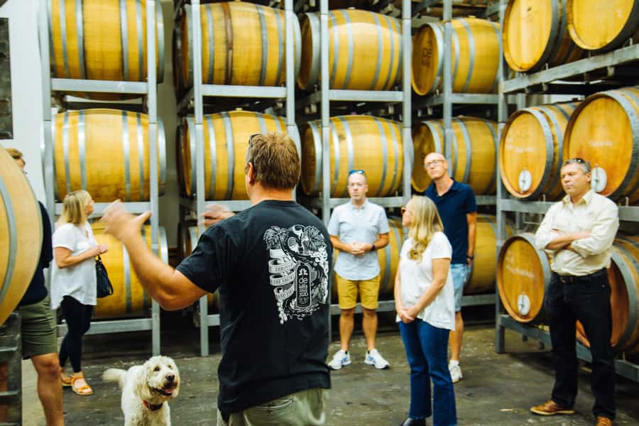 Hunter Valley: Wine, Spirits, and Cheese Tour with Lunch - Who This Hunter Valley Tour Is Best For (and Who Should Skip It)