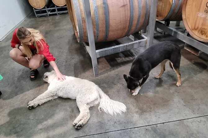 Hunter Valley Wine Tour + Lunch, Gin, Cheese, Choc from Newcastle - Distillery time: Local gin and vodka tasting without the guesswork