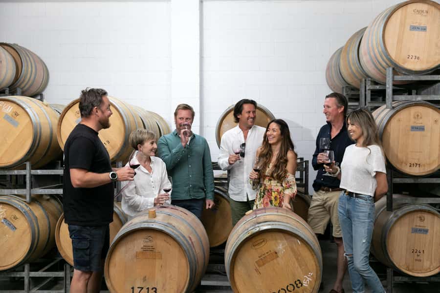 Hunter Valley: Wine Tour with 2-Course Lunch, Choc & Cheese - Key highlights you should care about
