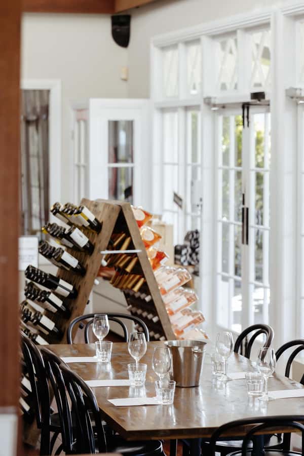 Hunter Valley: Wine Tour with 2-Course Lunch, Choc & Cheese - Mount Pleasant Wines: Estate Vines and the Oldest Pinot Noir Moment