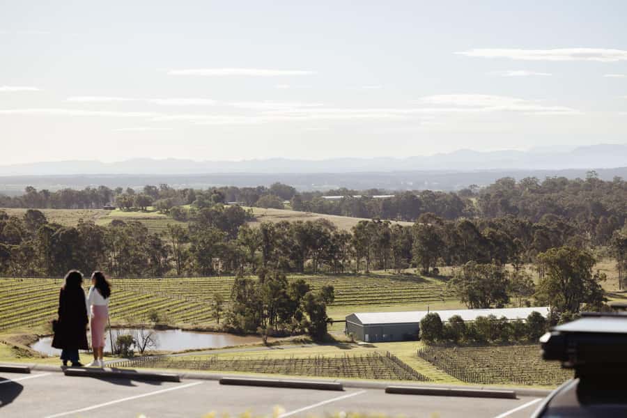 Hunter Valley: Wine Tour with 2-Course Lunch, Choc & Cheese - Who This Tour Suits Best (and Who Should Think Twice)