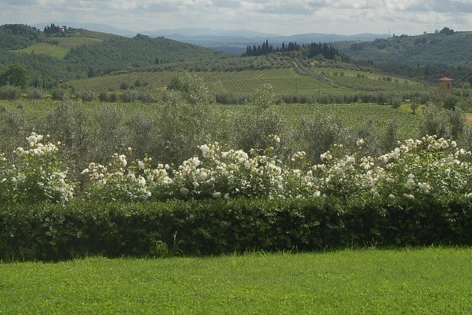Journey through Italian Cheese - Chianti Classico vs Brunello di Montalcino: what you’re really comparing