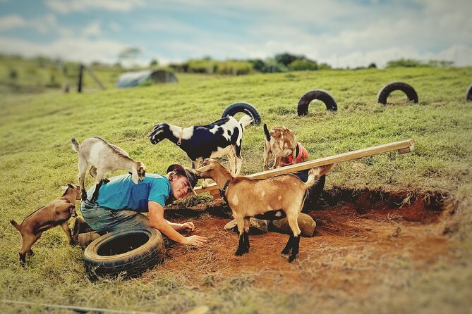 Kauai Private Baby Farm Animal Experience & Micro Dairy Immersion - Key highlights to know before you go
