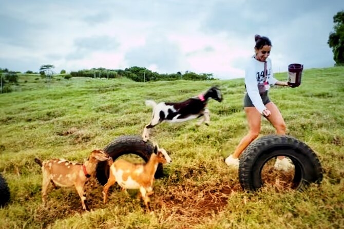 Kauai Private Baby Farm Animal Experience & Micro Dairy Immersion - Kauai’s micro-dairy reality check (and the baby animals factor)