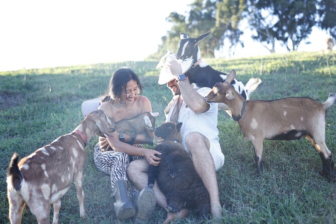 Kauai Private Baby Farm Animal Experience & Micro Dairy Immersion - Farm chores and volunteer energy (the real work you came for)