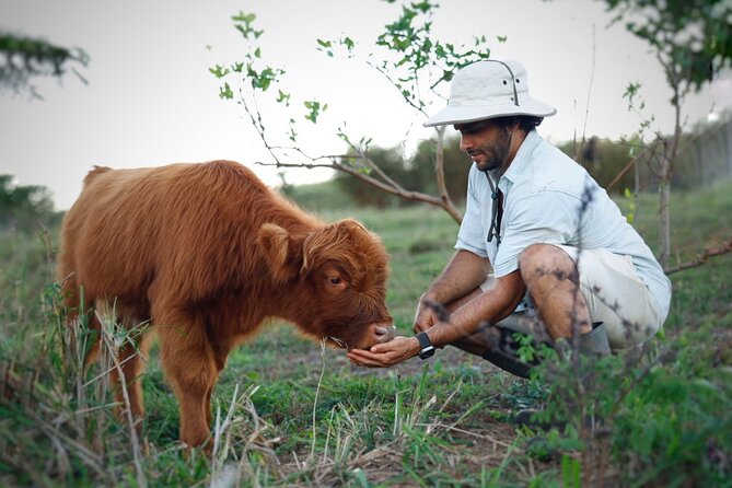Kauai Private Baby Farm Animal Experience & Micro Dairy Immersion - Baby goats, lambs, and mini calves: where the hands-on fun happens