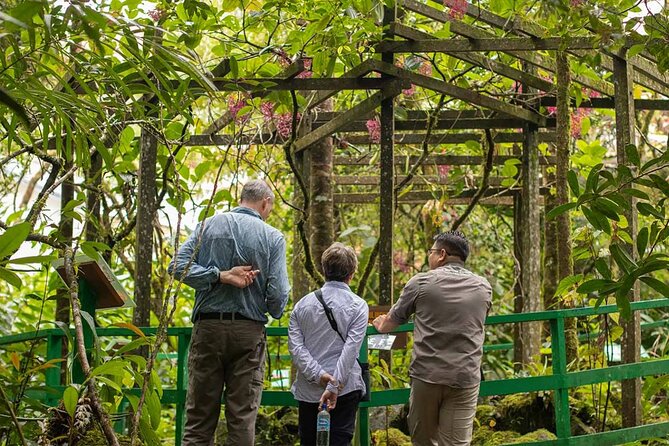 Kinabalu Park & Poring Hot Springs Tour with Desa Dairy Farm - A Full-Day Plan That’s Built for Real Variety