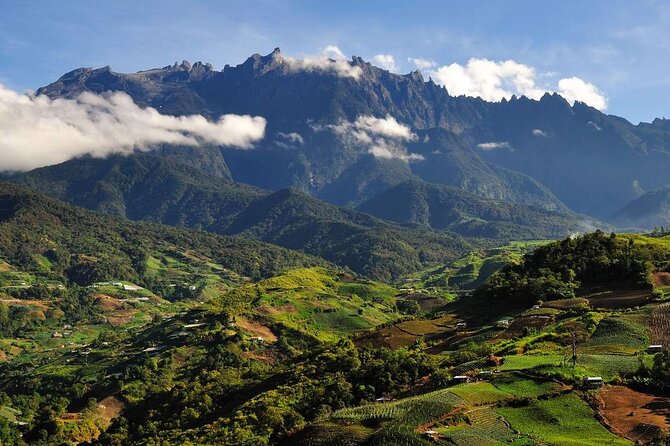 Kinabalu Park & Poring Hot Springs Tour with Desa Dairy Farm - Nabalu Fruit Market: A Quick, Free Stop to Set the Tone