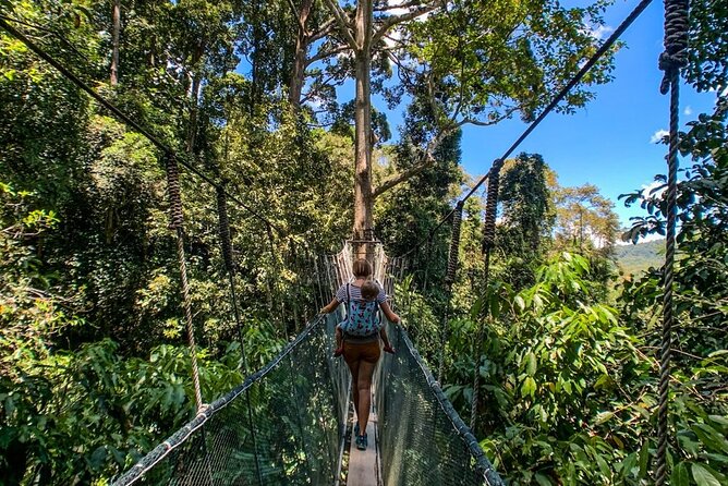 Kinabalu Park & Poring Hot Springs Tour with Desa Dairy Farm - Lunch in Kundasang: Included Food Without the Hunt