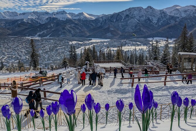 Krakow Zakopane Cable Car Vodka Cheese and Hot Springs Tour - Rating reality check: what the reviews hint about