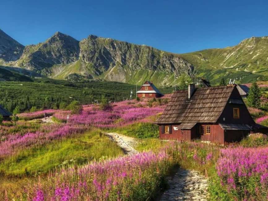 Krakow: Zakopane, Morskie Oko, and Cheese Tasting Tour - Morskie Oko in Tatra National Park: walk vs horse carriage