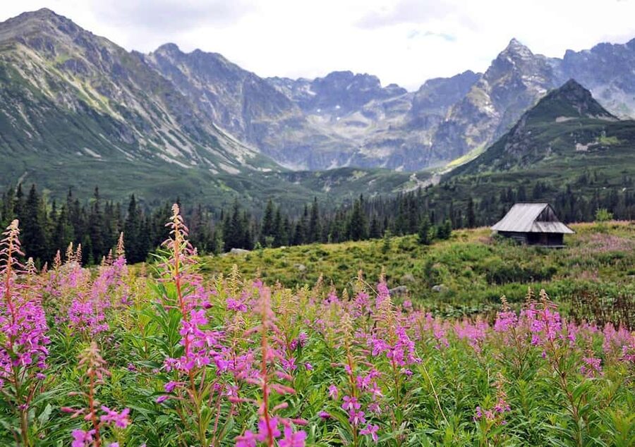 Krakow: Zakopane, Morskie Oko, and Cheese Tasting Tour - Timing and pacing: how the day flows without feeling rushed