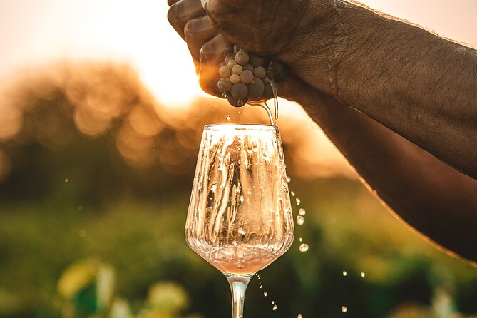 Krka Waterfalls & Wine and Cheese Tasting Tour from Split - The guide and timing: where the experience can feel perfect or slightly off