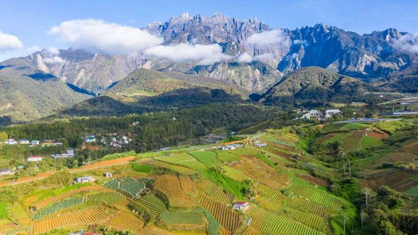 Kundasang: Day Tour with Desa Dairy Farm and Alpaca Club - A Mountain Day Trip With Rumah Terbalik, a Dairy Farm, and Alpacas