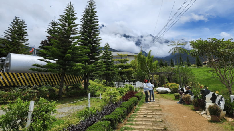 Kundasang: Day Tour with Desa Dairy Farm and Alpaca Club - Mt Kinabalu Viewing Platform: Mountain Views, Plus a Weather Reality Check