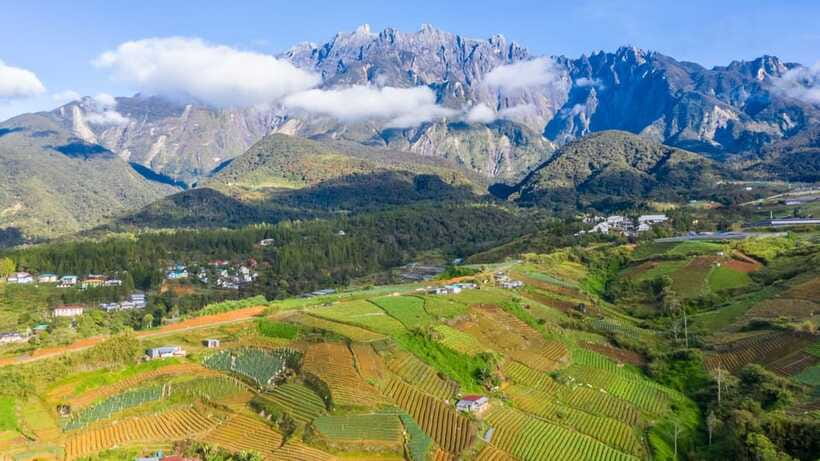 Kundasang: Day Tour with Desa Dairy Farm and Alpaca Club - Desa Dairy Farm: Watching a Working Farm Do Its Thing