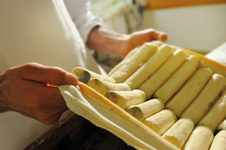 Lake Como: Cheese Factory Tour and Tasting in Valsassina - The 40-minute dairy tour: cow, goat, and bufala from process to maturation