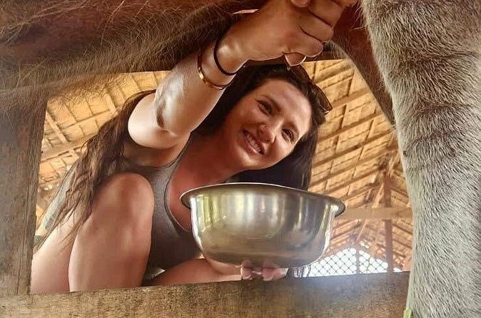 Laos Buffalo Dairy Tours Interact, Learn and Taste Fresh Flavors - Tour options: pick your style (buffalo food, farm life, or cooking)