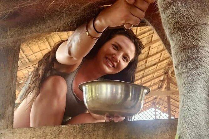 Laos Buffalo Dairy Tours Interact, Learn and Taste Fresh Flavors - Timing, small groups, and how to plan your day