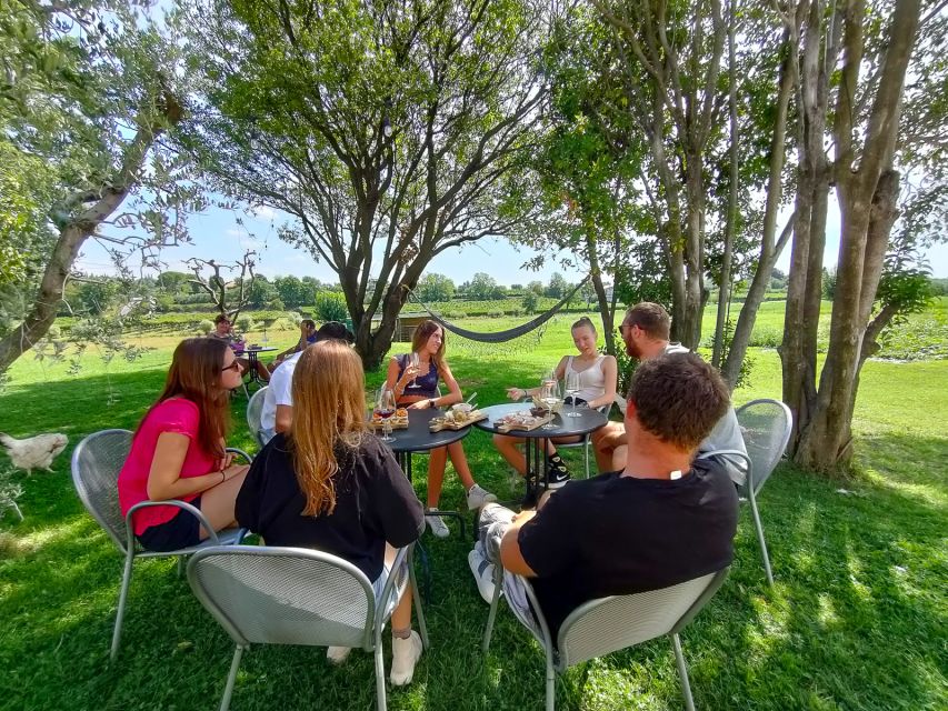 Lazise: Wine Tasting with Charcuterie and Cheese Board - The Food Board Is the Real Co-Star
