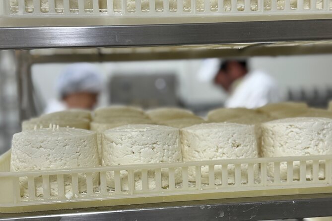 Lisbon Cheese Factory Visit, Wine Tasting and Tile Painting Tour - Tile Painting in Seixal: Making a Lisbon Souvenir With Your Own Hands