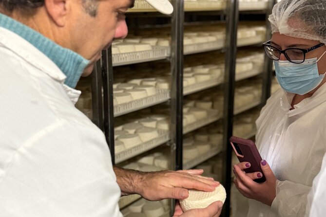 Lisbon Cheese Factory Visit, Wine Tasting and Tile Painting Tour - Sesimbra Free Time: A Coastal Reset for Lunch and Fresh Air