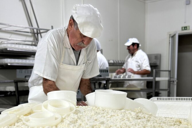 Lisbon Cheese Factory Visit, Wine Tasting and Tile Painting Tour - Price and Value: What You’re Paying For (and Why It Adds Up)