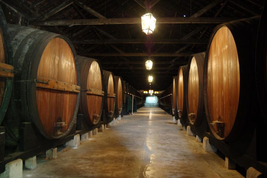 Lisbon Getaway: Private Arrábida Wine & Food Tour - Transportation, timing, and who this private day really fits