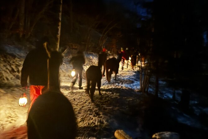 Llama hike with homemade, traditional cheese fondue - The Fondue Finale: Homemade Cheese Dinner Where You Can Relax