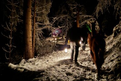 Llama hike with homemade, traditional cheese fondue - Why This Format Feels Like Real Time in Liechtenstein