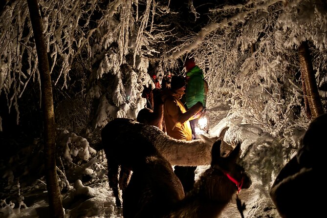 Llama hike with homemade, traditional cheese fondue - What To Wear and How To Plan for a 5:00 pm Mountain Evening
