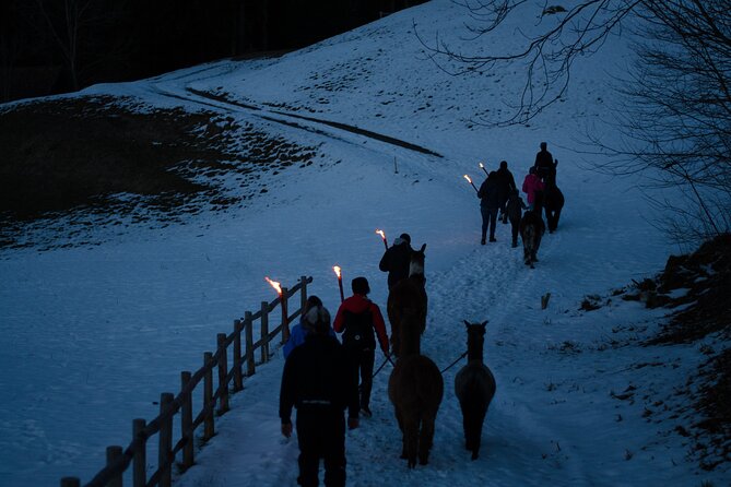 Llama hike with homemade, traditional cheese fondue - Should You Book This Llama Hike With Fondue?