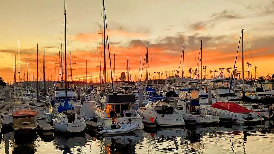 Los Angeles #1: Luxury Boat Cruise-Wine, Cheese & Sea Lions - Marina del Rey from the water: why the quiet electric boat matters