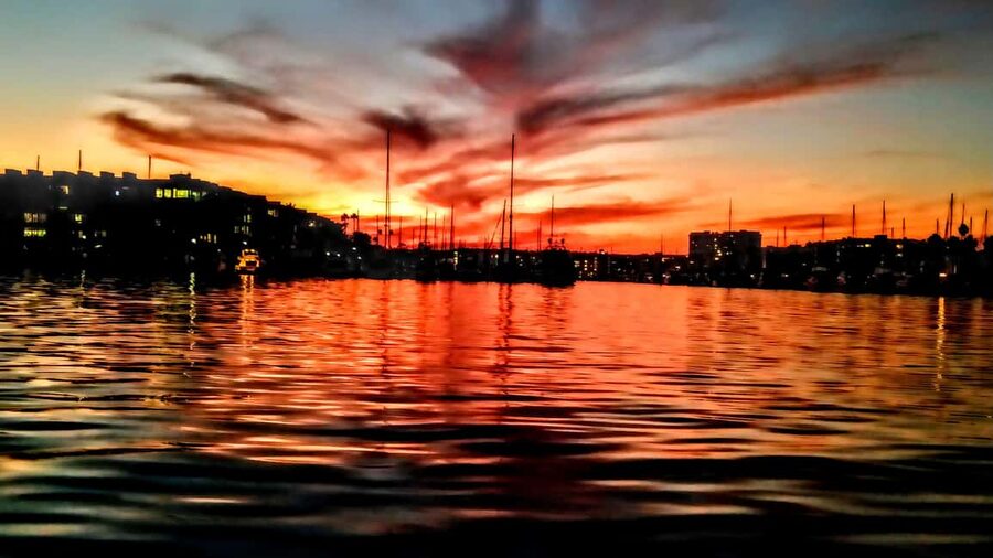 Los Angeles #1: Luxury Boat Cruise-Wine, Cheese & Sea Lions - The onboard vibe: music, small-group comfort, and rules you should know