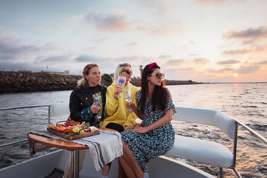 Los Angeles: Luxury Cruise with Wine, Cheese & Sea Lions - Wildlife spotting: sea lions, birds, and the best way to look