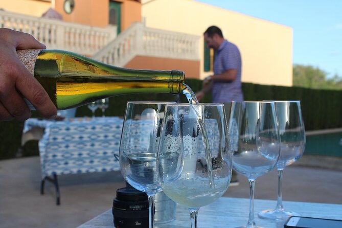 Mallorca Wine and Cheese Tasting - What You Learn (Without the Wine-School Stress)