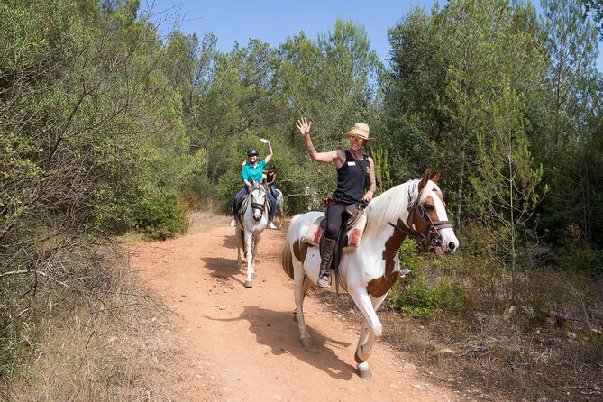 Mallorca Wine and Cheese Tasting - Price and Value: Is $48.57 Fair for What You Get?