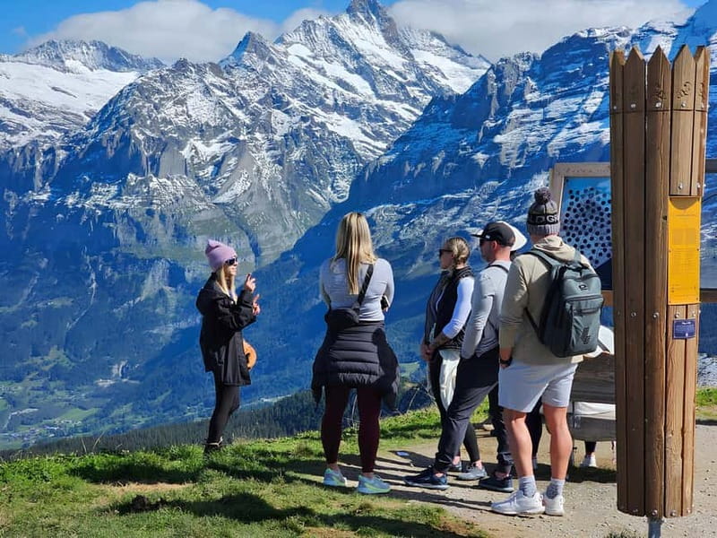 Männlichen: Cheese and Chocolate Tasting on Mountain Summit - Picnic time: learning Swiss cheese like a local