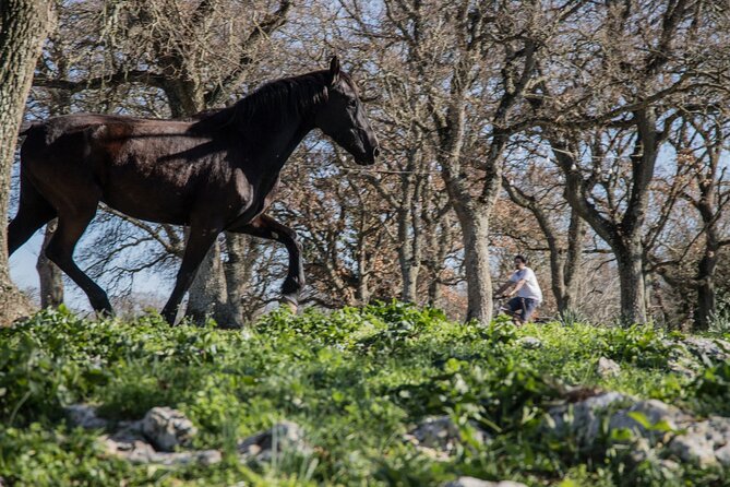 Martina Franca e-Bike tour . Visit a breeding and a dairy farm - Dairy farm visit and cheese tasting: getting from cow to plate