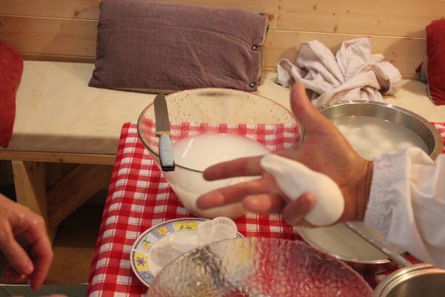 Matera: Mozzarella and Cheese tasting with a Cheesemaker - Logistics That Matter: Transportation, Timing, and What to Wear
