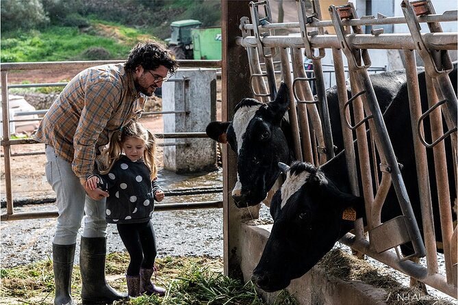 Menorca: Cheesemaking and Farm-Fresh Product Tasting - Hands-On Mahon Cheese Making in the Production Room