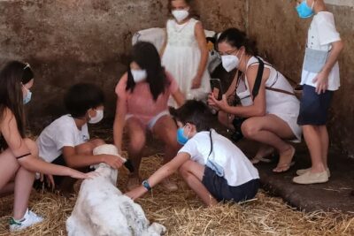 Menorca: Cheesemaking and Farm-Fresh Product Tasting - How Personalization Works: Make Your Block, Get It When It’s Cured