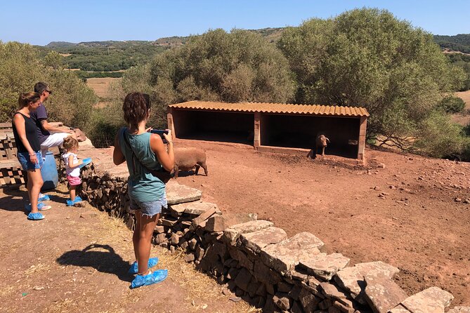 Menorca: Cheesemaking and Farm-Fresh Product Tasting - Family-Friendly, Kids-Certificates, and Adult Satisfaction