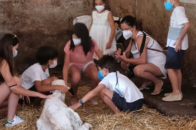Menorca: Cheesemaking and Farm-Fresh Product Tasting - How Personalization Works: Make Your Block, Get It When It’s Cured