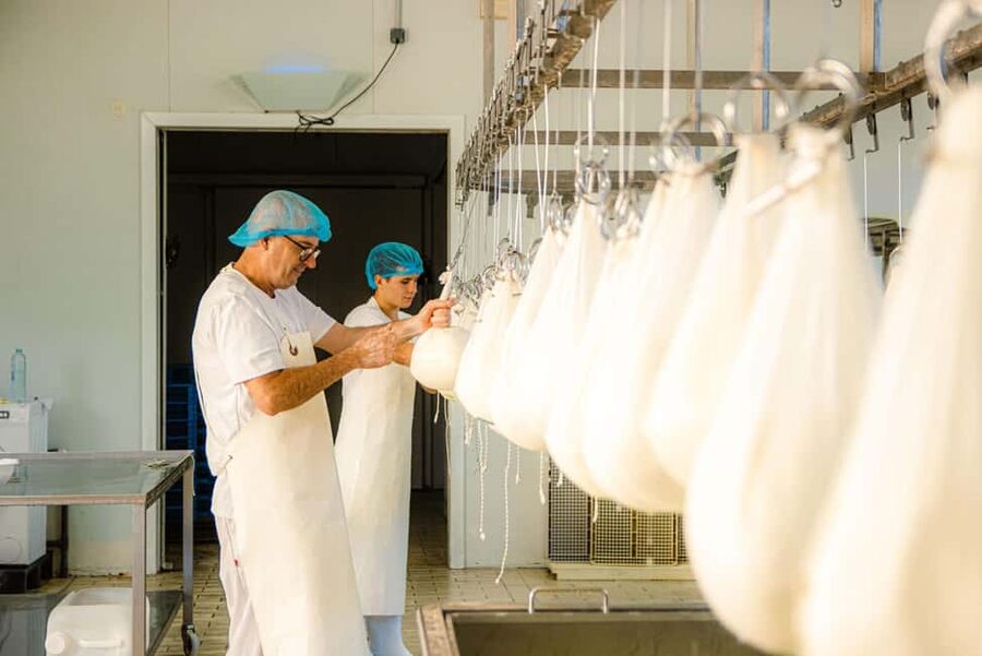 Menorca: Guided visit to the Subaida cheese factory, - Key things you’ll notice on this Subaida cheese-factory visit