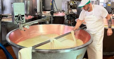 Modena/Bologna: Ferrari, Lambo, Cheese, Vinegar Tour w/Lunch - Getting There Smoothly: Pickup, Ride Time, and Small-Group Reality