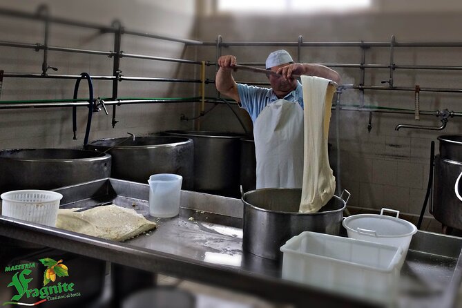 Mozzarella Experience - Cheese Tour and tastings to Masseria Fragnite - Inside the dairy: learning cow mozzarella, burrata, and stracciatella