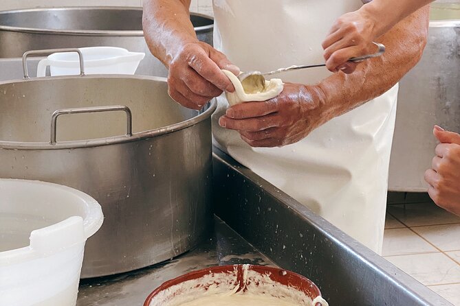 Mozzarella Experience - Cheese Tour and tastings to Masseria Fragnite - Brunch tasting and Apulian wine: what’s on your plate