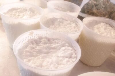 Naxos Farm Experience and cheese making - What’s Actually on the Table: Cheese, Bread, Eggs, Fruit, and Wine